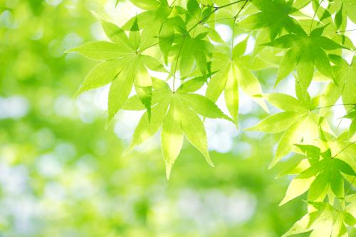 永4.2Ԫ㽭һҽթƭ